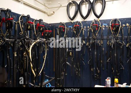 Briglie di cavalli presso Royal Mews - Buckingham Palace Foto Stock