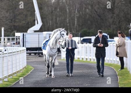 Cavallo da corsa GRIGIO NEBBIOSO - XI Campionati All-Weather Foto Stock