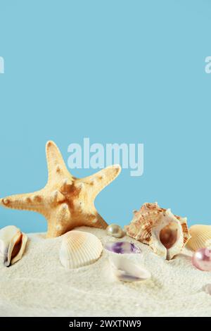 Conchiglie e stelle marine sulla sabbia. Isolato su sfondo blu, spazio libero per la decorazione. Foto Stock