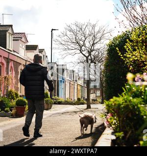 Un uomo che cammina il suo cane in una graziosa casa dipinta in Simpson Street a Cullercoats, North Tyneside Foto Stock