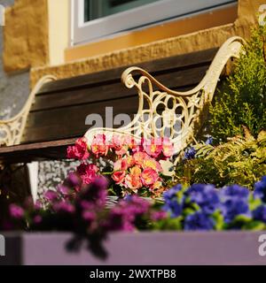 Belle case dipinte in Simpson Street a Cullercoats, North Tyneside Foto Stock