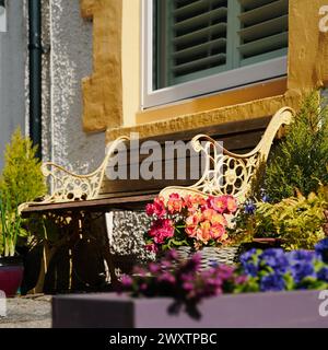 Belle case dipinte in Simpson Street a Cullercoats, North Tyneside Foto Stock