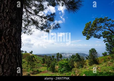 La vivace campagna di Port-Au-Prince Foto Stock