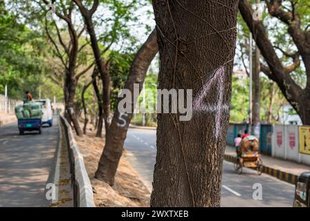 Bangladesh, 02/04/2024, gli alberi sulla splendida strada che collega Tigerpass alla città di Kadmatoli sono stati segnalati per l'abbattimento. L'autorità di sviluppo di Chittagong ha dichiarato che questi alberi saranno tagliati prima della costruzione dell'infrastruttura principale della rampa dopo la prova del suolo. All'inizio del 2021, è stata presa un'iniziativa per costruire un ospedale a CRB, un luogo circondato da bellezze naturali e vegetazione. Ma la società civile ha protestato contro di essa. Di fronte alle proteste della società civile, l'ospedale non è stato aperto. (Foto di M.. Zakir Hossain/Pacific Press) Foto Stock