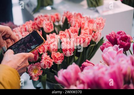 Cattura la bellezza dei tulipani in una mostra floreale Foto Stock