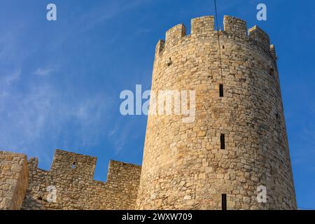 Cancello del despota della fortezza di Belgrado, XV secolo, Kalemegdan, Belgrado, Serbia Foto Stock