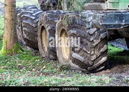 Quattro enormi pneumatici Timberjack, profondamente incastonati nel terreno forestale, testimoniano il potente movimento della macchina forestale. Foto Stock