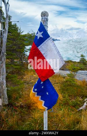 Le bandiere cilene e della Patagonia piantate sul ghiacciaio Pia. Foto Stock