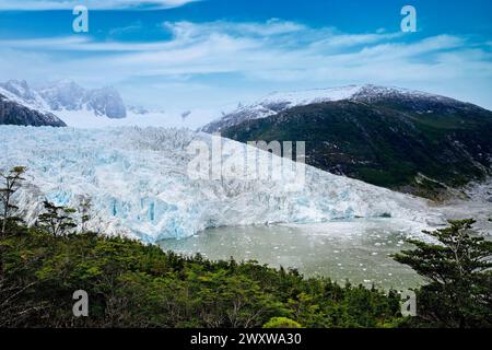 Pia Bay e ghiacciaio visti dall'alto nella foresta subtropicale Foto Stock