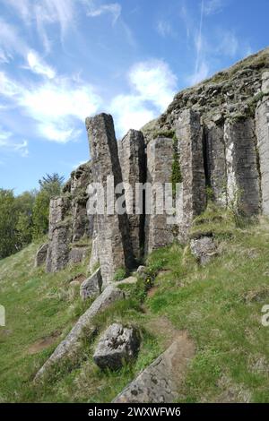 Formazioni rocciose basaltiche e una colonna pendente a Dverghamrar, Islanda meridionale Foto Stock