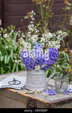 bouquet di fiori di giacinto viola e fiori di spina nera in brocca vintage Foto Stock