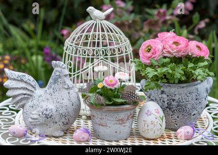 decorazione del giardino pasquale con pollo pasquale, bellis perennis rosa e ranunculus in pentole d'epoca Foto Stock