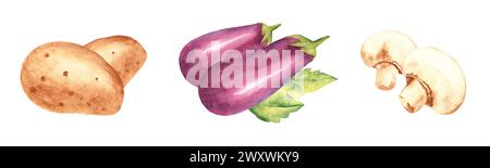 Set di composizioni vegetali. Melanzane, patate e champignon. Illustrazione ad acquerello disegnata a mano in stile vintage isolata su sfondo bianco. Foto Stock