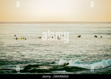 Un gruppo di surfisti durante le ore mattutine visto da Windansea Beach a la Jolla, California, Stati Uniti. Foto Stock