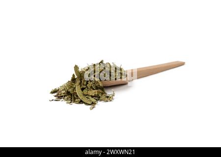 Foglie secche o Limone verbena in latino Aloysia citrodora su cucchiaio di legno isolato su fondo bianco. Medicinale. erba. L'estratto di foglia di verbena al limone è u Foto Stock