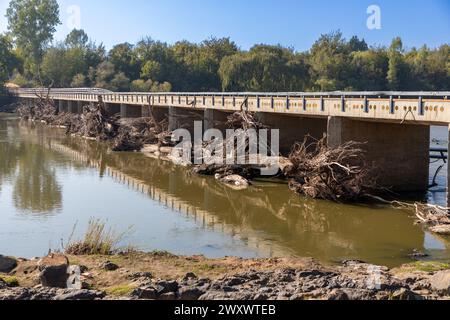 Paesaggio di un ponte di cemento sul fiume Vaal in Sudafrica. Questo dopo che l'acqua di inondazione ha lavato i detriti contro il ponte. Foto Stock