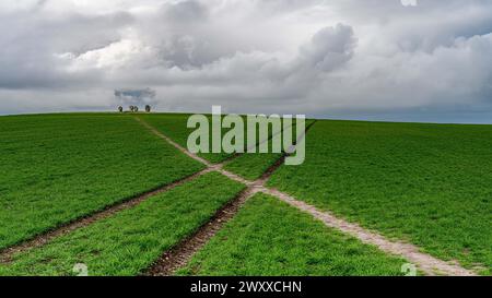 Duddo Standing Stones, Northumberland Foto Stock