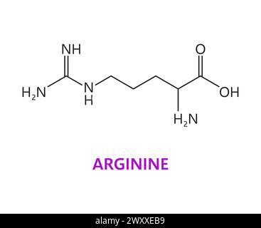 Molecola chimica dell'amminoacido dell'arginina, struttura essenziale della catena. Composto molecolare della proteina muscolare, formula essenziale di scienza degli aminoacidi o struttura molecolare del vettore dell'integratore nutrizionale Illustrazione Vettoriale