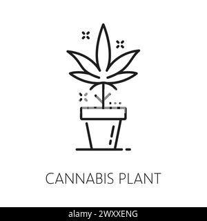 Icona della linea di cannabis, cbd e marijuana, piante infestanti in vaso. Il segno vettoriale del contorno isolato, che rappresenta il design minimalista a base di erbe, incarna le qualità naturali e terapeutiche della canapa o dell'erba ganja Illustrazione Vettoriale