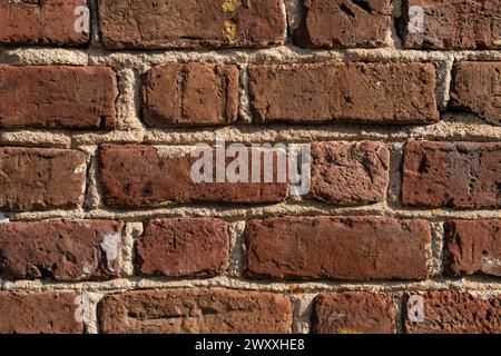 Frammento di muro di mattoni da Fort Sumpter a Charleston, South Carolina. Le impronte digitali delle persone schiavizzate possono essere osservate in alcuni mattoni. Foto Stock