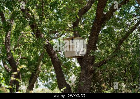 Park Ramat Hanadiv, Memorial Gardens del barone Edmond de Rothschild, Zichron Yaakov, Israele. Foto di alta qualità Foto Stock