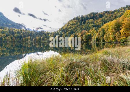 Lago Freibergsee in autunno, alle sue spalle il salto con gli sci Heni-Klopfer, le Alpi Allgaeu, Allgaeu, Baviera, Germania Foto Stock