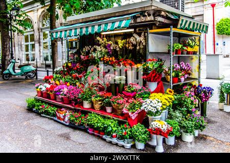 Viale XX settembre Promenade, Trieste, città portuale sull'Adriatico, Friuli, Italia, Trieste, Friuli, Italia Foto Stock