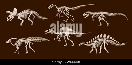 Scheletri fossili di dinosauri cartoni animati, teschi e ossa di dinosauri vettoriali. Triceratops, tyrannosaurus rex, stegosaurus e spinosaurus, parasaurolophus e utahraptor antichi scheletri di mostri rettili Illustrazione Vettoriale