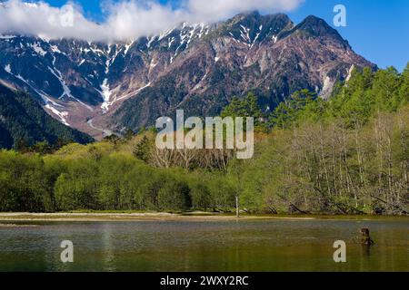 Lago poco profondo di fronte alla foresta e torreggianti vette innevate (Hotaka Range, Kamikochi, Giappone) Foto Stock