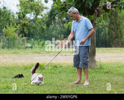 un gatto ragdoll e un uomo che giocano in giardino Foto Stock