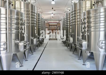 Serbatoi di lavorazione del vino in acciaio inox presso un'azienda vinicola. Foto Stock