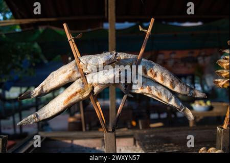 Pesce essiccato su bastoncini di legno in un tradizionale mercato all'aperto Foto Stock