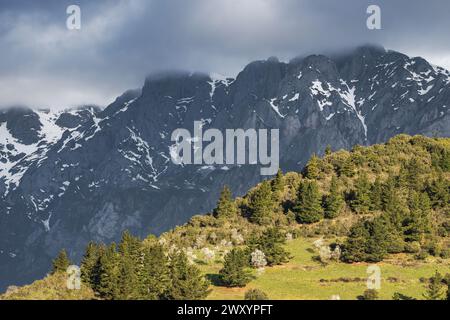 Vista spettacolare delle aspre catene montuose e della vegetazione lussureggiante del Parco Nazionale Picos de Europa, con nuvole che gettano ombre sulle cime. Foto Stock