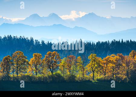 Vista dell'Eiger, della Moench e della Jungfrau dall'Emmental, dalla Svizzera, dalle Alpi Bernesi Foto Stock