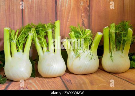 Finocchio dolce (Foeniculum vulgare, Anethum foeniculum), tuberi su ripiano di legno Foto Stock