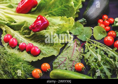 Ortaggi raccolti dall'orto: Peperoni, cetrioli, lattuga, ravanelli, pomodori, insalata di rucola, mangold Foto Stock