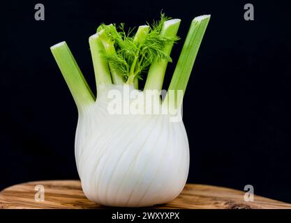 Finocchio dolce (Foeniculum vulgare, Anethum foeniculum), bulbo di finocchio Foto Stock