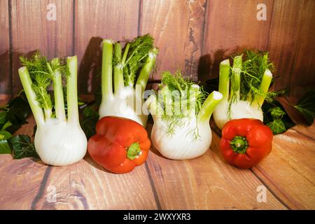 Finocchio dolce (Foeniculum vulgare, Anethum foeniculum), bulbi di finocchio con peperoni rossi su un ripiano di legno Foto Stock