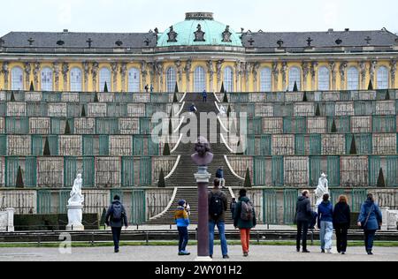 Potsdam, Germania. 3 aprile 2024. I visitatori salgono le scale per il Palazzo Sanssouci. Durante la tradizionale conferenza stampa annuale della Fondazione prussiana per i Palazzi e i Giardini Berlino-Brandeburgo (SPSG), il saldo dell'anno passato e i piani saranno presentati in mattinata. Crediti: Alina Schmidt/dpa/Alamy Live News Foto Stock