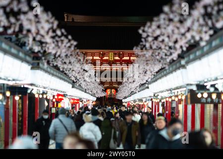 Tokyo, Giappone - febbraio 29 2024: La gente cammina lungo la via Nakamise-dori verso il tempio buddhista senso-Ji nell'area di Asakusa di Tokyo in Giappone. Foto Stock