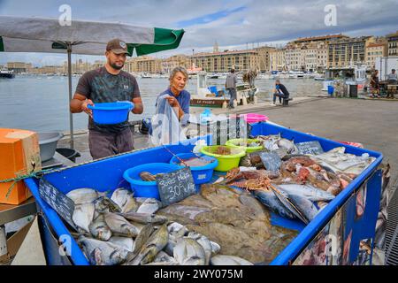 Mercato del pesce (Marché aux Poissons) al Porto Vecchio (Vieux Port) nel centro della città, sul Mar Mediterraneo. Marsiglia, Francia Foto Stock