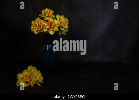 una natura morta con narcisi gialli arancioni su sfondo scuro Foto Stock