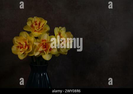 una natura morta con narcisi gialli arancioni su sfondo scuro Foto Stock