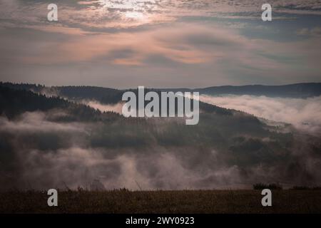 Paesaggio mattutino di Foggy, estate, nebbia e foresta, Monti Bieszczady, Polonia Foto Stock