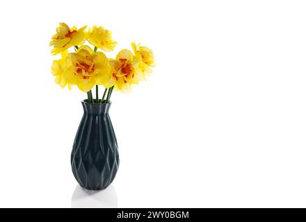 una natura morta con narcisi gialli arancioni su sfondo bianco Foto Stock