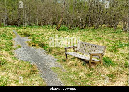 Una panchina di legno attende i visitatori accanto a un serpeggiante sentiero di ghiaia attraverso il vibrante fogliame primaverile. Foto Stock