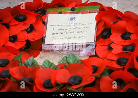 Corona papavero Message and Remebrance del Ministro degli Esteri del Regno Unito, Westminster, Londra, Inghilterra Foto Stock