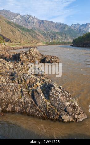 Fiume Altai Katun circondato da montagne. Le rocce costiere, coperte da muschio e licheni, sono in primo piano. L'acqua nel fiume è sporca a causa della Foto Stock