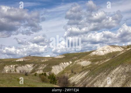 Colline di gesso nella regione di Ulyanovsk, Russia. Fiori gialli in primo piano Foto Stock