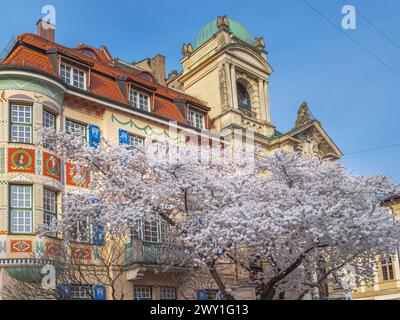 Alberi splendidamente fioriti di fronte a una splendida villa vecchia a Schwabing, Monaco, Baviera, Germania Foto Stock